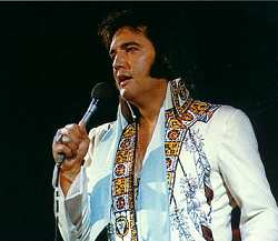 Elvis In Memphis