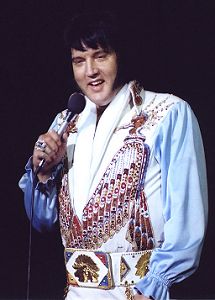 Elvis In Summer 1976