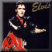 Elvis Meets Presley